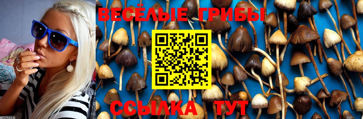 Гусь-Хрустальный  Псилоцибиновые грибы Magic Shrooms  Вход с VPN 